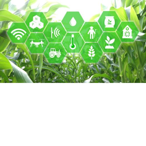 Global Cellular Connectivity for Agriculture